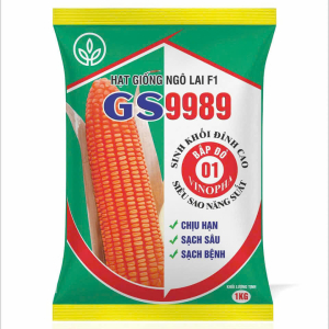 GIỐNG NGÔ LAI F1 GS9989